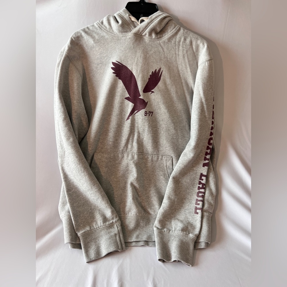 AE Super Soft Graphic Hoodie